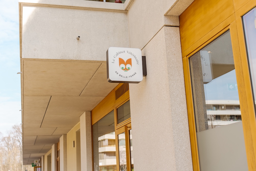 Vétérinaire : Belle-Terre