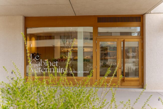 Vétérinaire Belle-Terre
