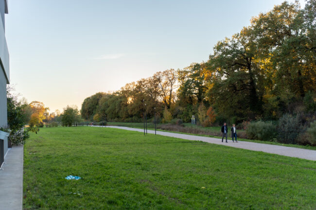 Loisirs à proximité de Thônex. Chemin de gravier entouré de bois avec un coucher de soleil en fond