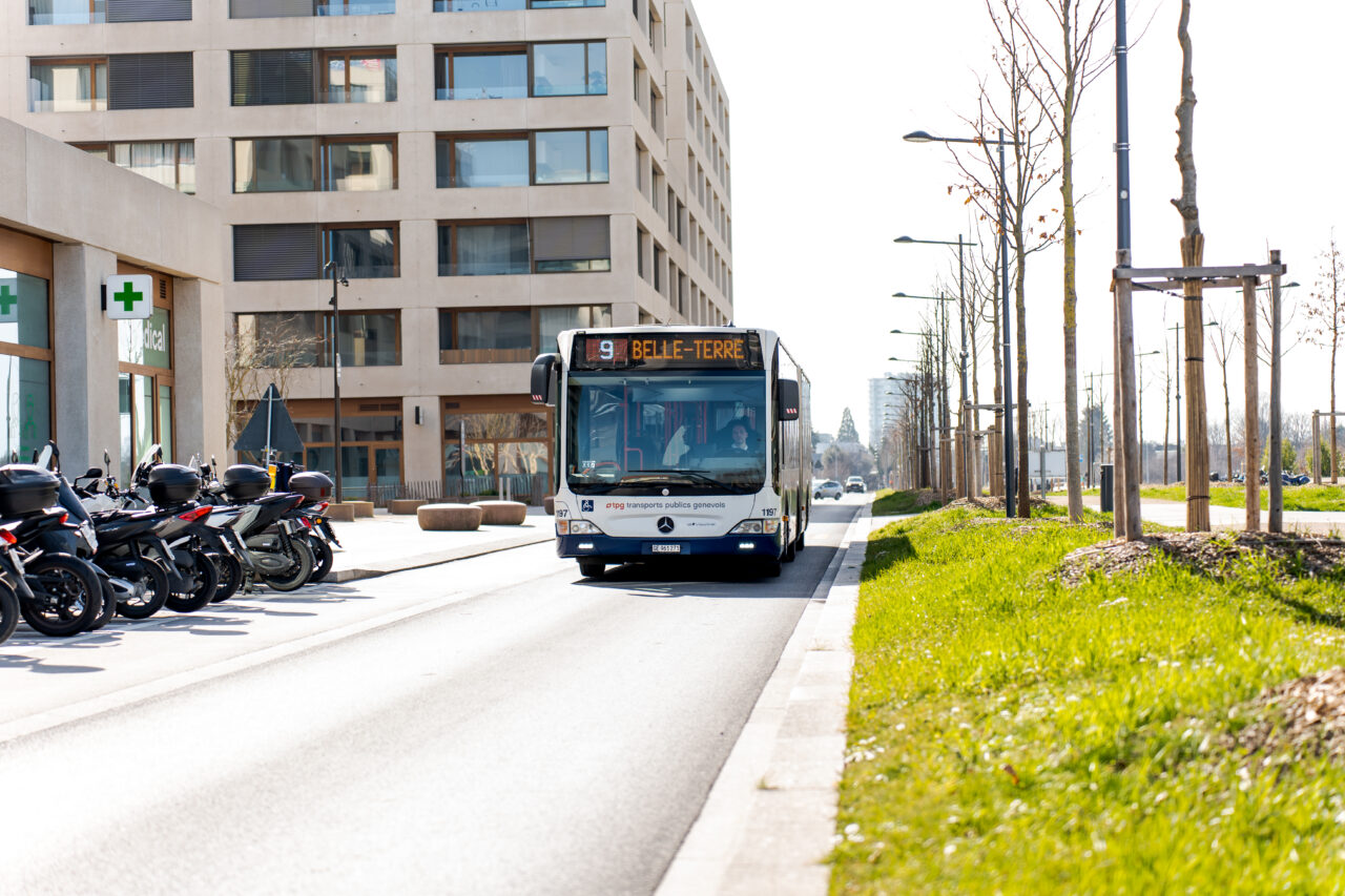 Bus TPG ligne 9 en direction de Belle-Terre circulant sur un axe urbain, avec bâtiment tertiaire et espaces verts en bordure de voie.