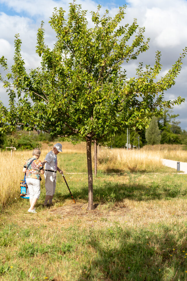 Couple de seniors se promenant avec une canne sous un arbre fruitier dans les espaces verts du quartier Belle-Terre à Thônex